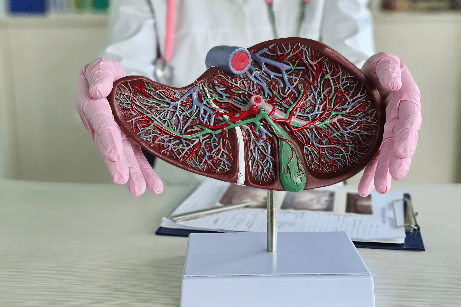 ADH-SEP-How-a-Gastroenterologist-Helps-with-Liver-Problems